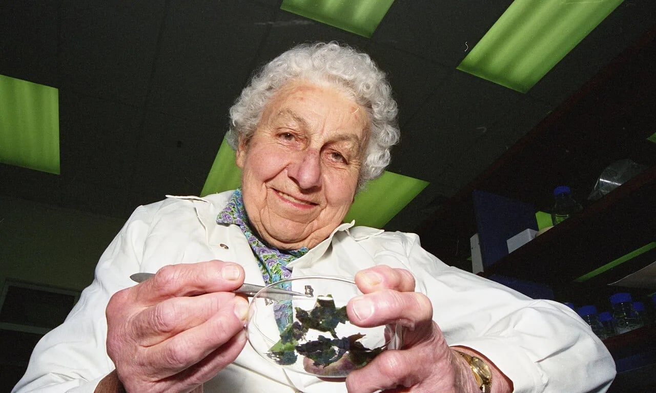 Porträt von Ella Campbell (1910–2003) – Gedenkseite
