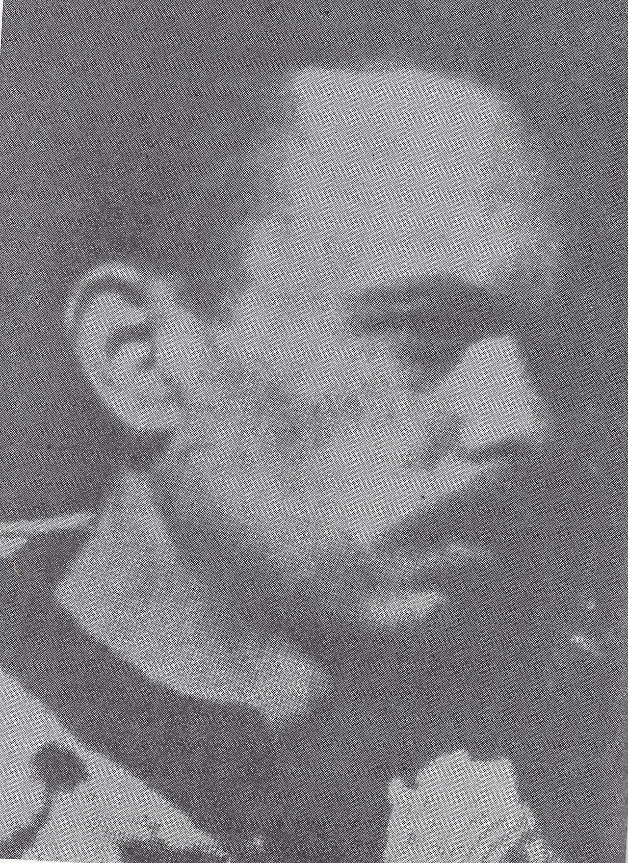 Portrait of Naci Kranjec (1916–1945) – memorial page