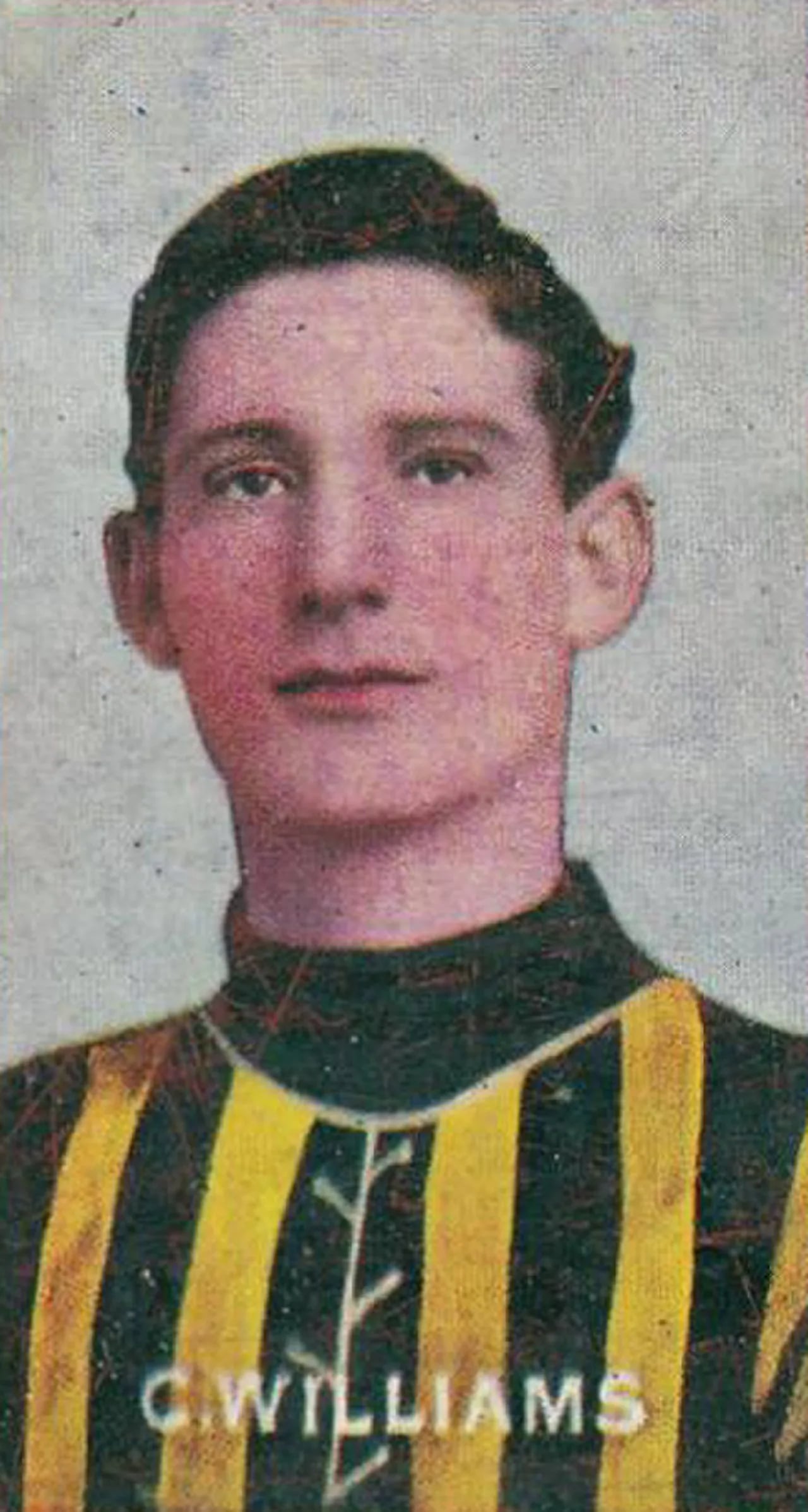 Porträt von Charles Williams (1881–1969) – Gedenkseite