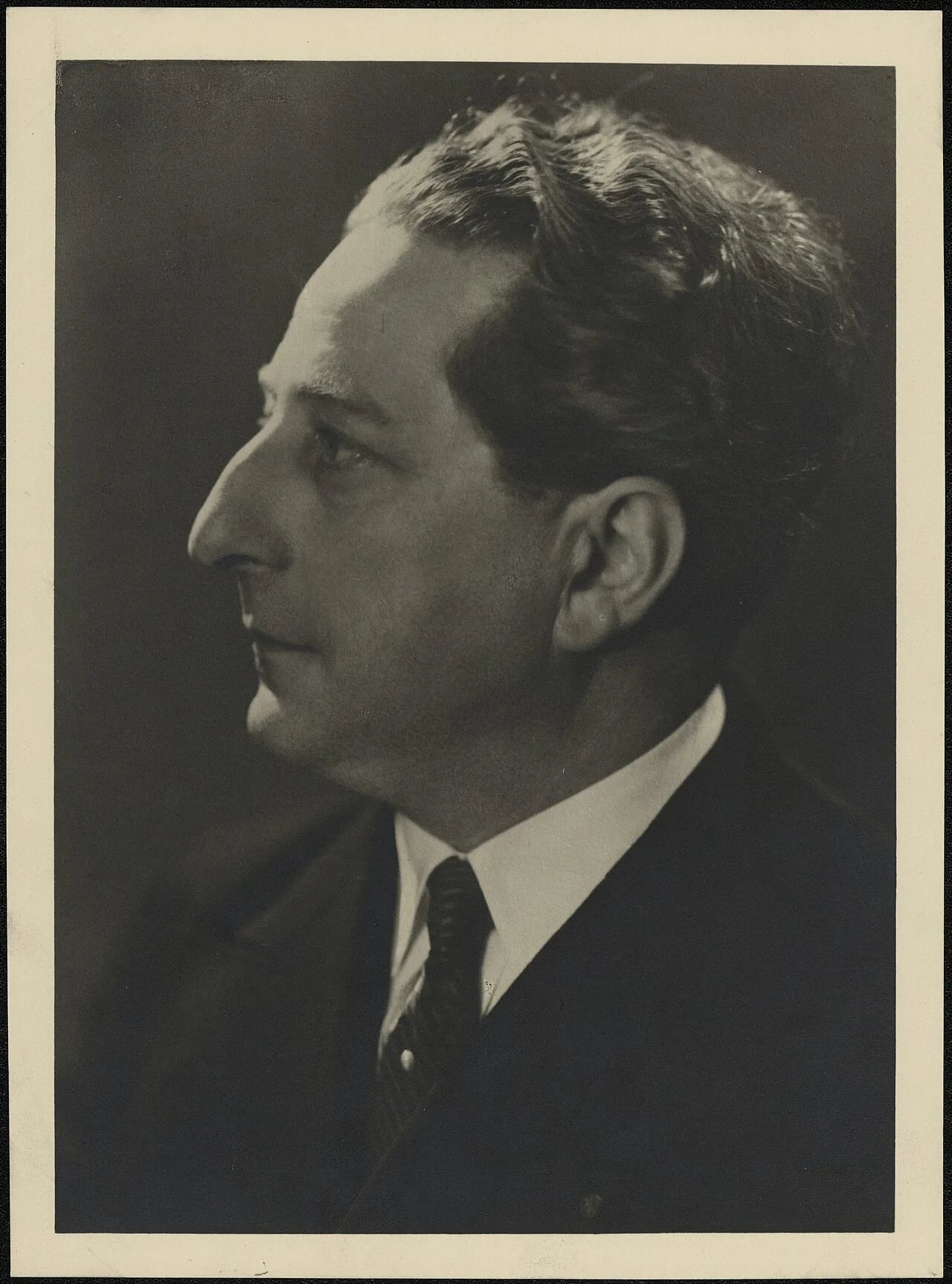 Porträt von Leo van Puyvelde (1882–1965) – Gedenkseite