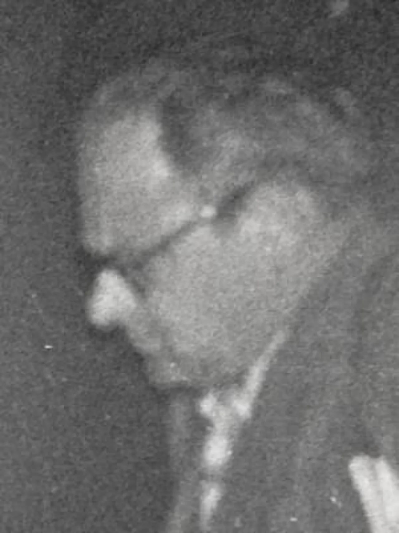 Porträt von Semjon Abramowitsch Furman (1920–1978) – Gedenkseite