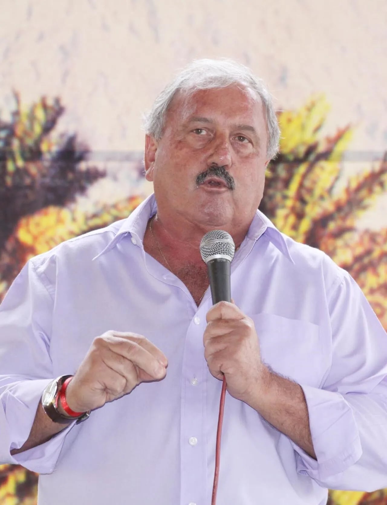 Porträt von Braz Paschoalin (1948–2010) – Gedenkseite