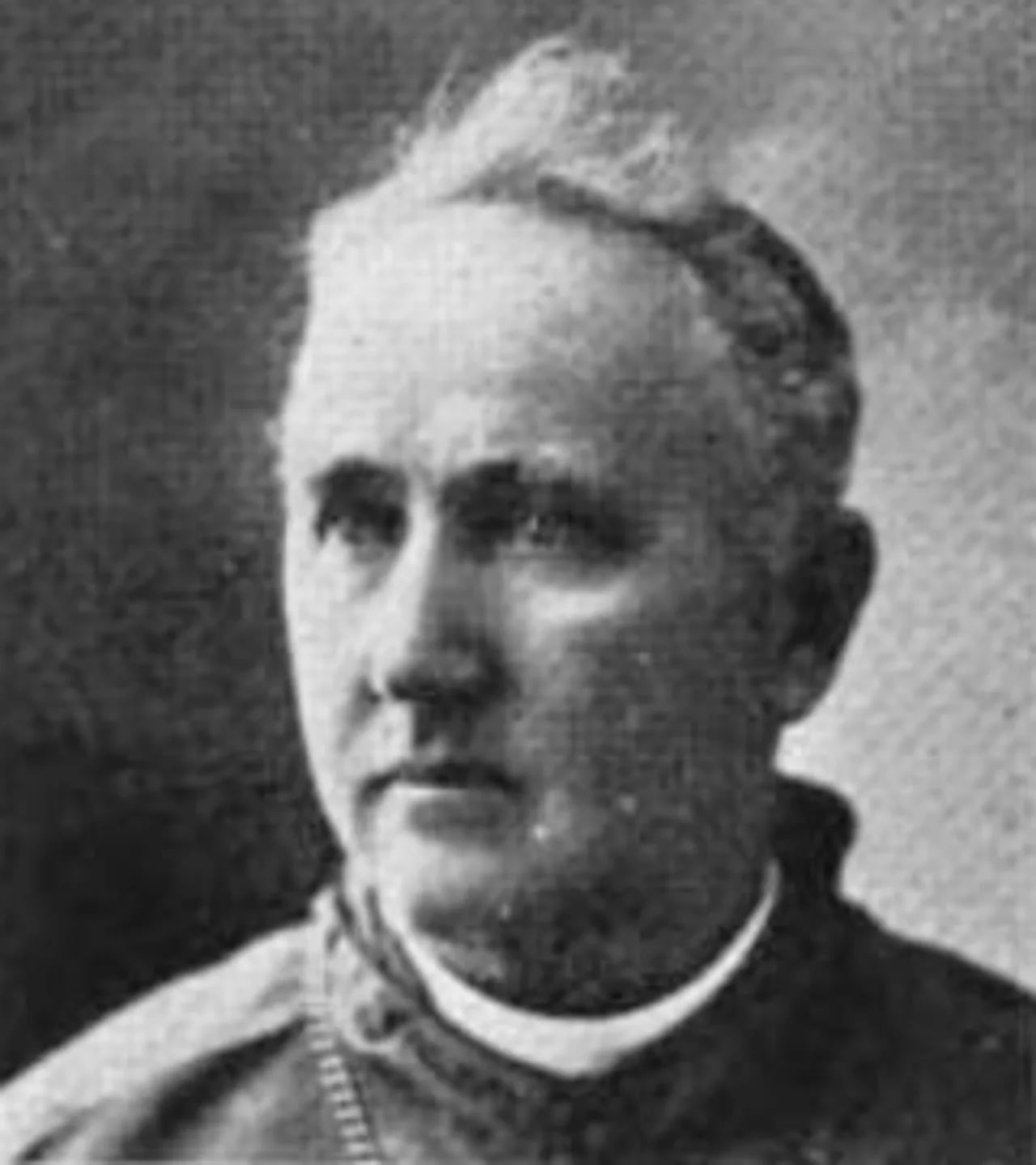 Porträt von Patrick Vincent Dwyer (1858–1931) – Gedenkseite