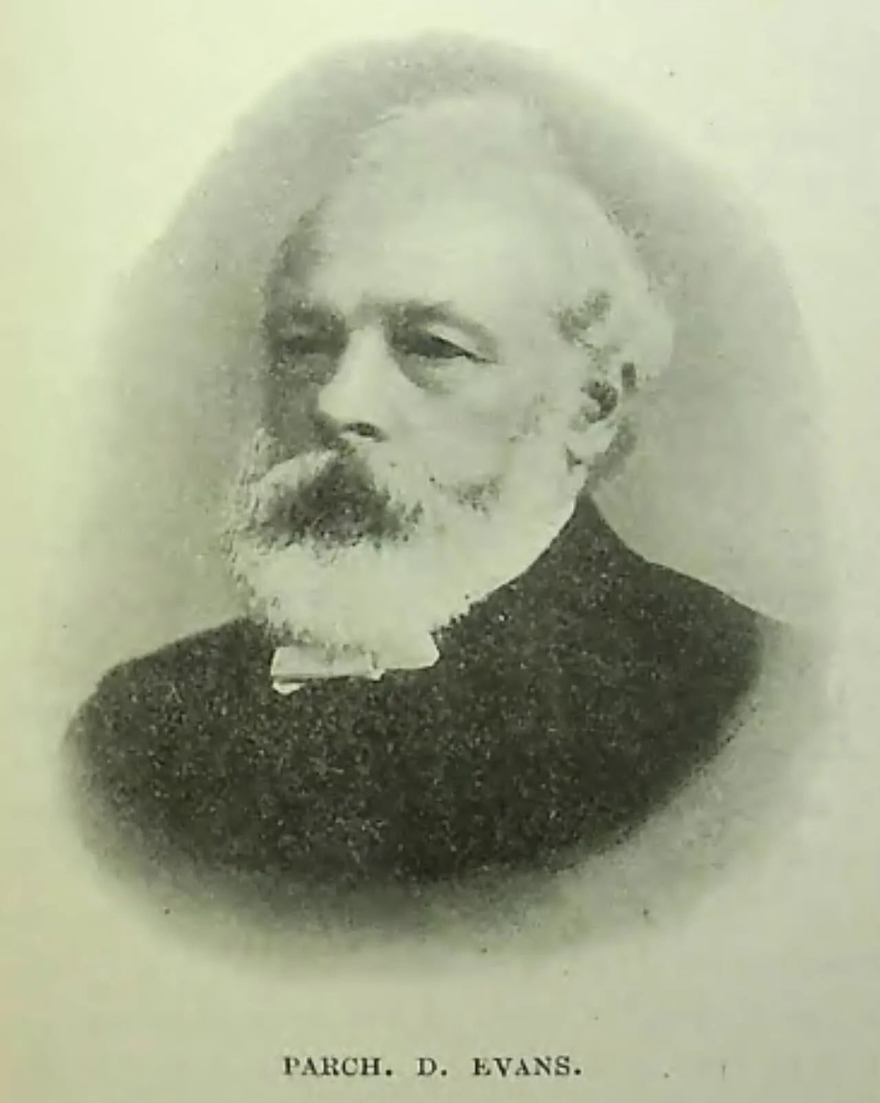 Porträt von David Evans (1842–1914) – Gedenkseite