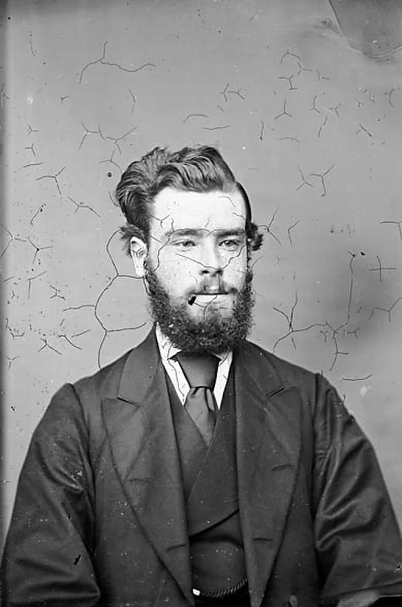 Porträt von William Cadwaladr Davies (1849–1905) – Gedenkseite