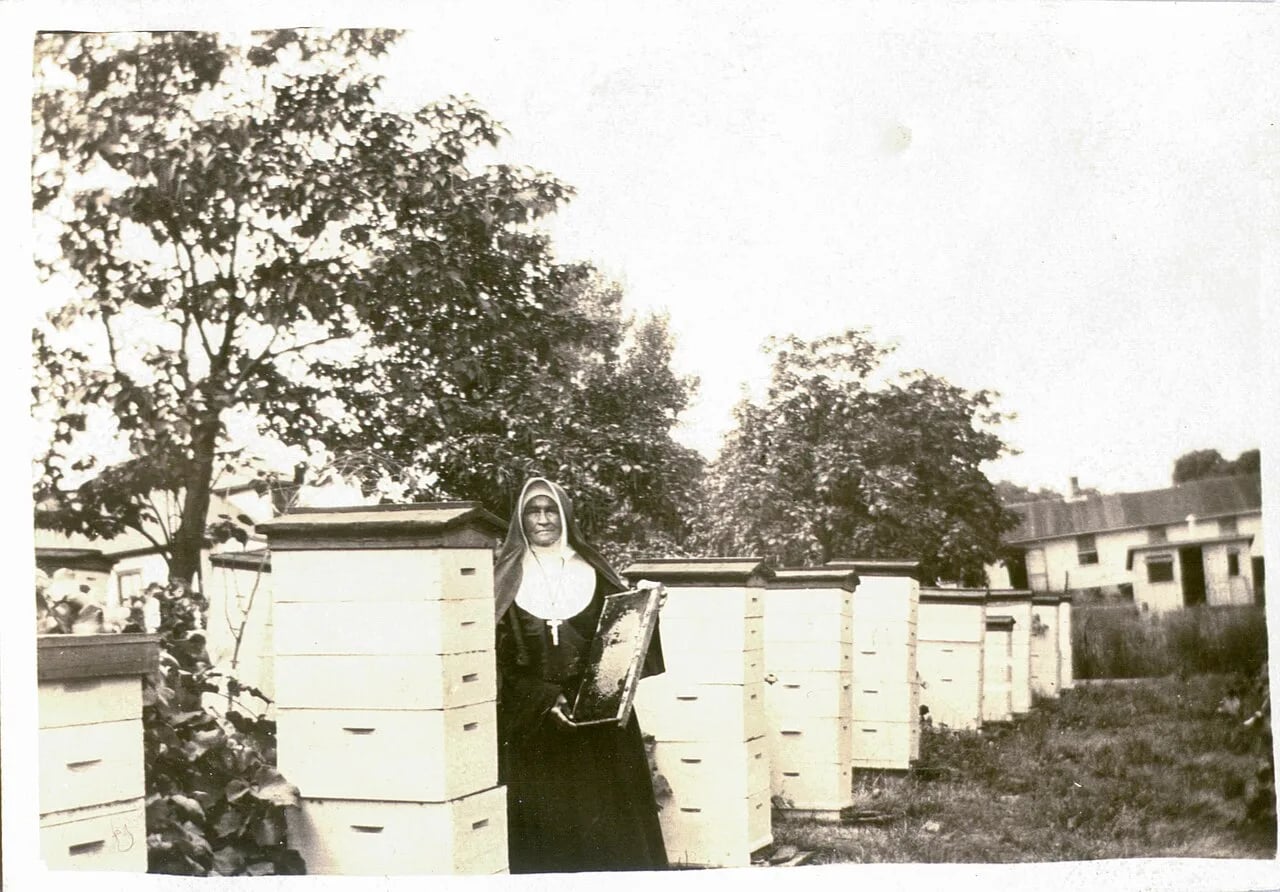Portrait of Ann Joseph Morris (1847–1930) – memorial page