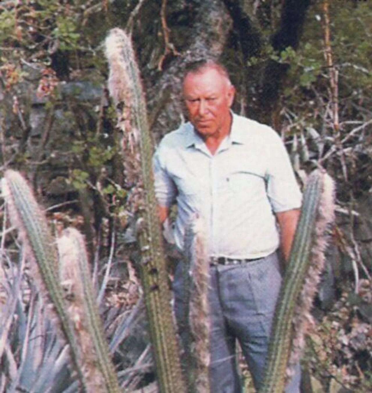 Porträt von Leopoldo Horst (1918–1987) – Gedenkseite