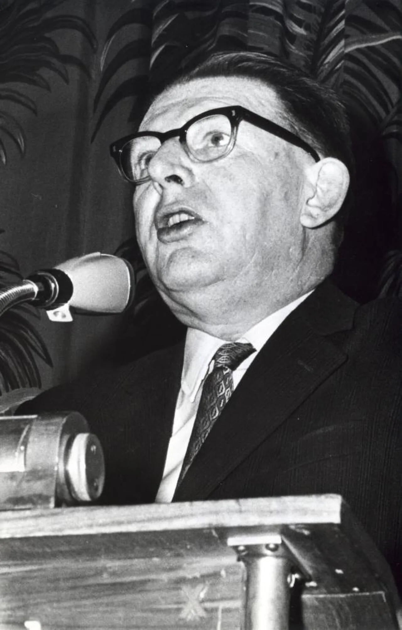 Porträt von Eef Steenbergen (1918–1992) – Gedenkseite