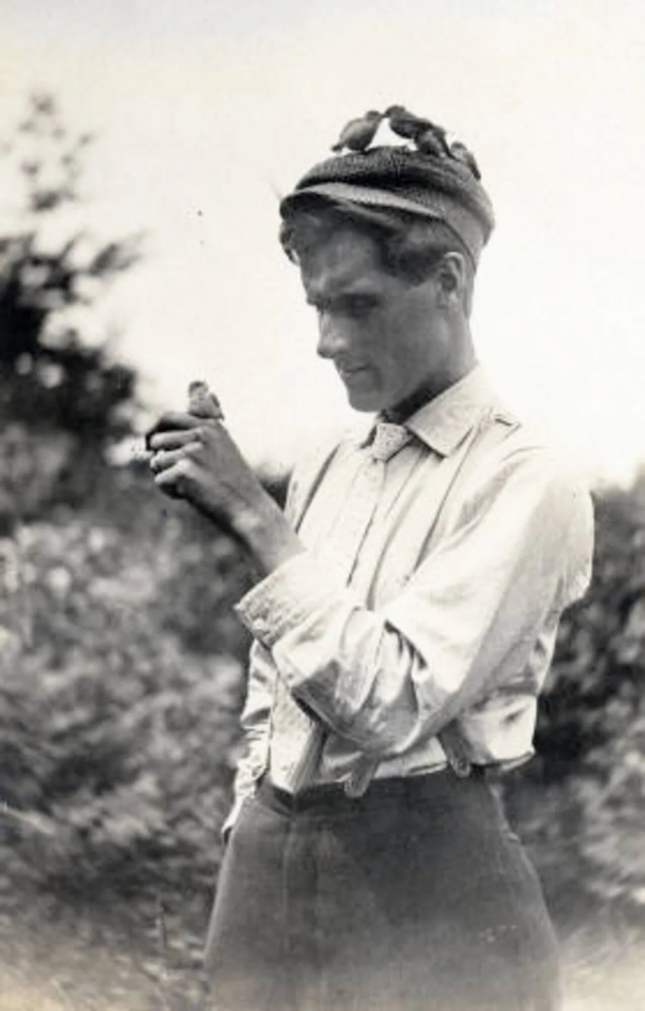Porträt von William L. Finley (1876–1953) – Gedenkseite