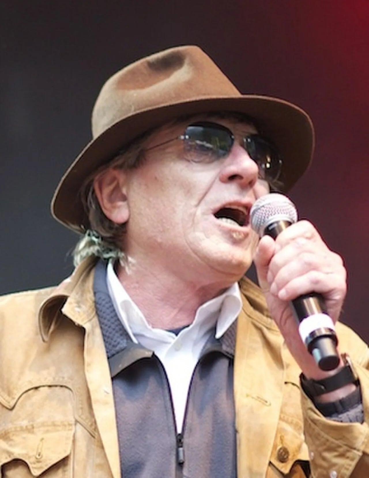 Porträt von Polo Hofer (1945–2017) – Gedenkseite