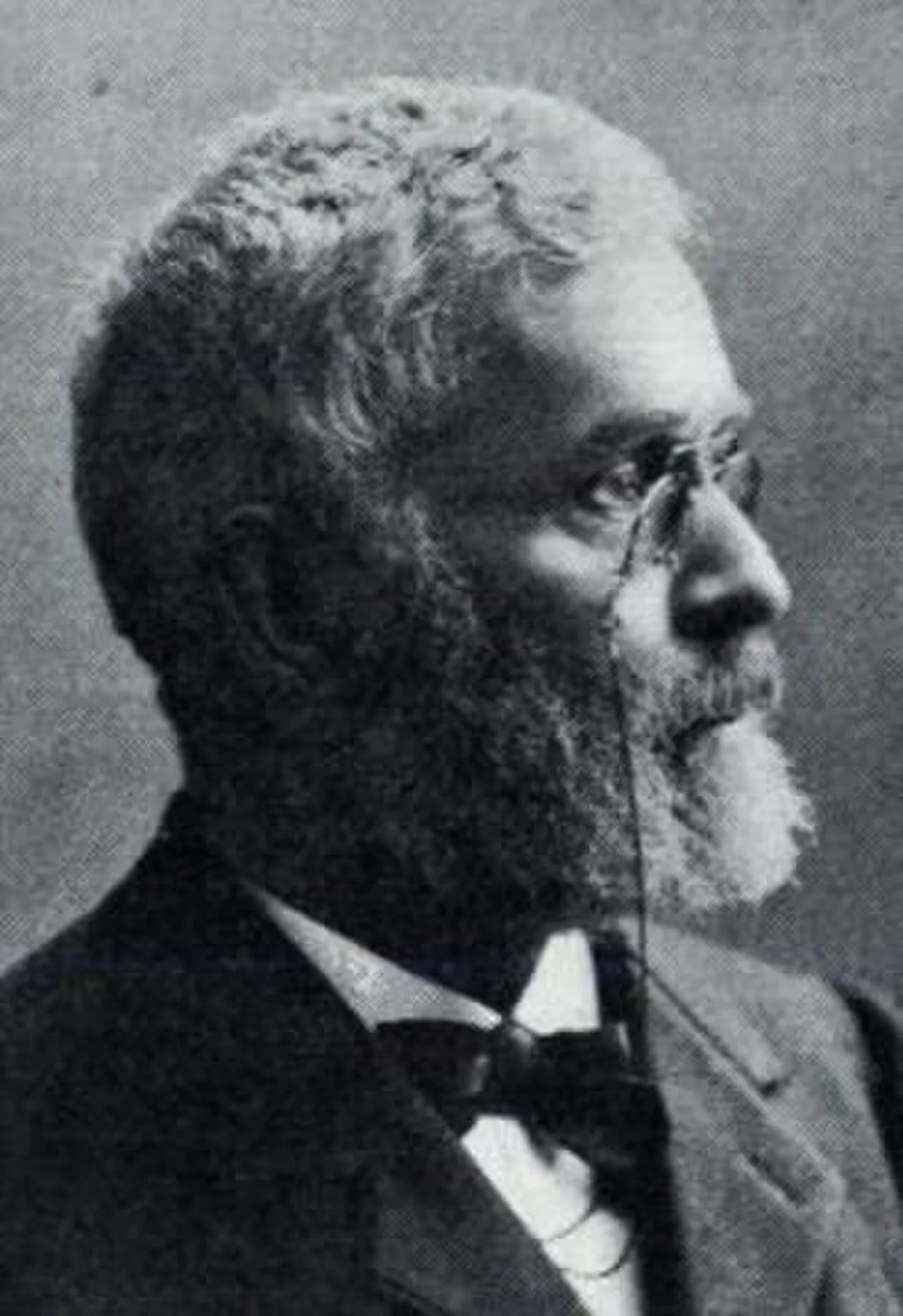 Porträt von Laurentius Borchsenius Stenersen (1843–1921) – Gedenkseite