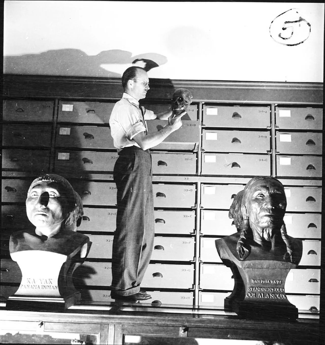 Porträt von T. D. Stewart (1901–1997) – Gedenkseite