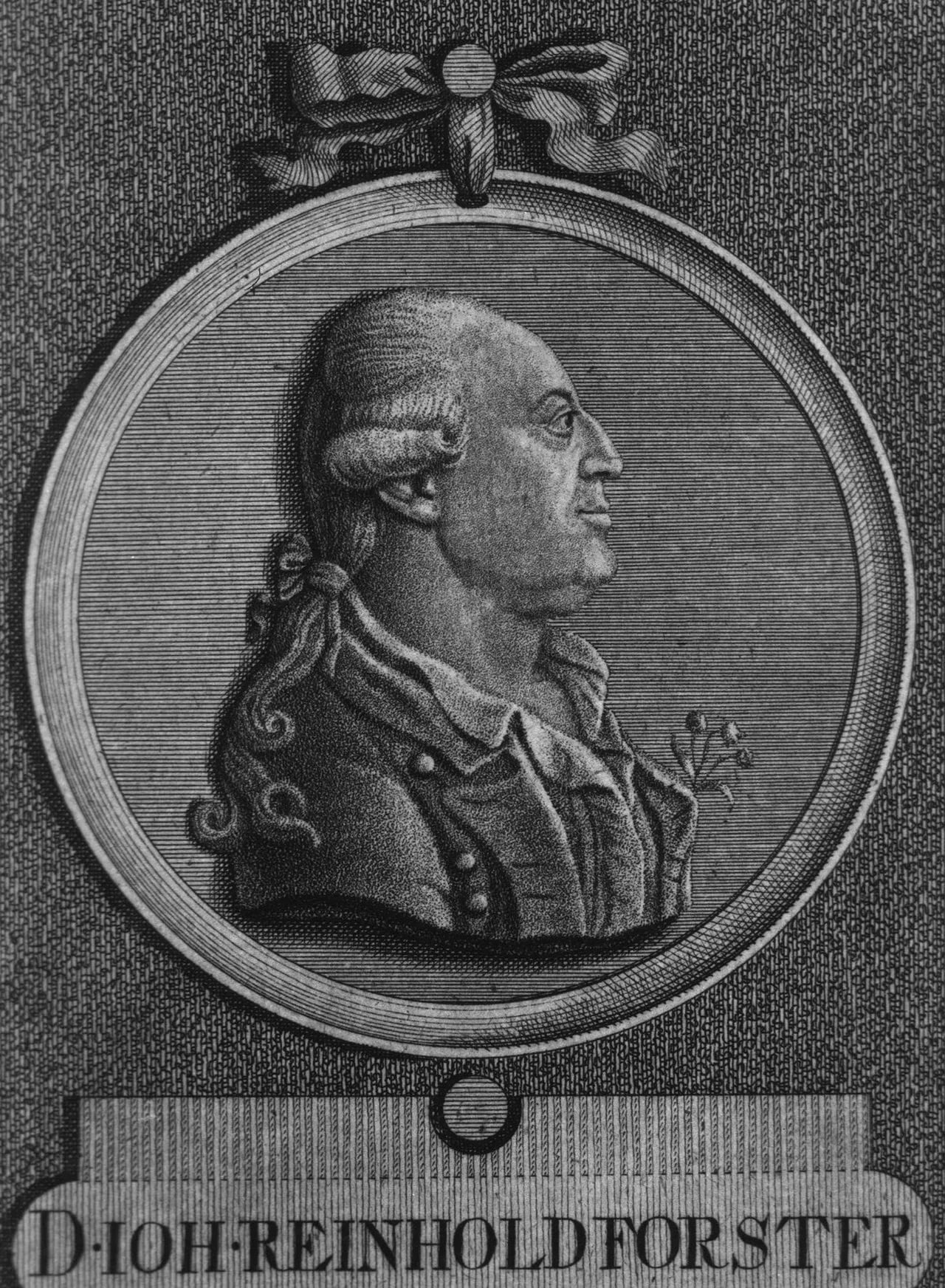 Portrait of Johann Reinhold Forster (1729–1798) – memorial page