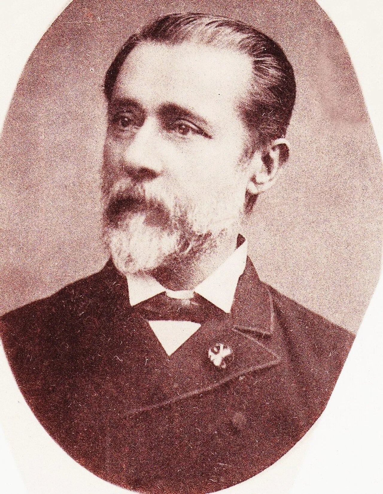Portrait of Johannes Isaak de Rochemont (1834–1914) – memorial page