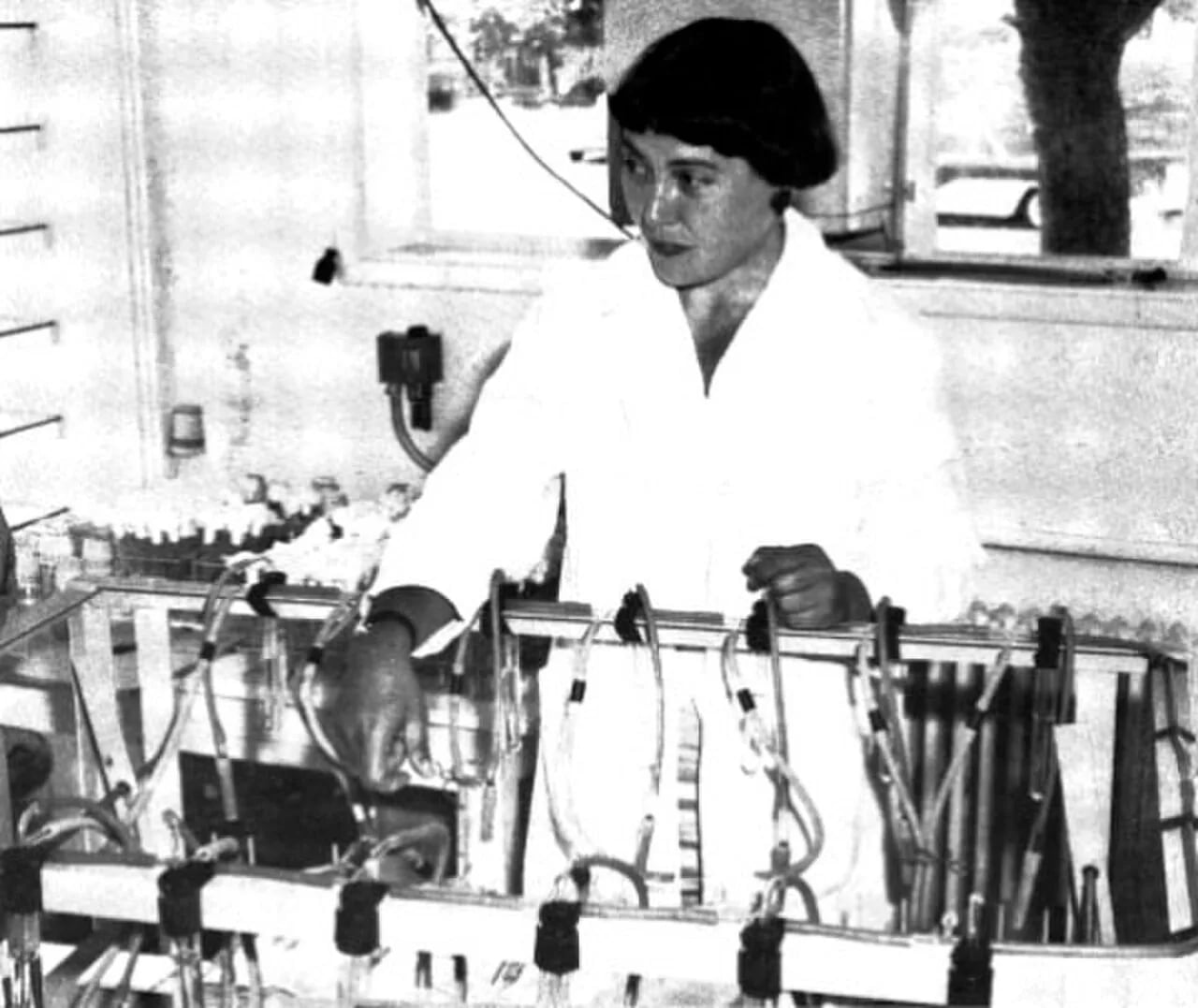 Porträt von Mary Belle Allen (1922–1973) – Gedenkseite