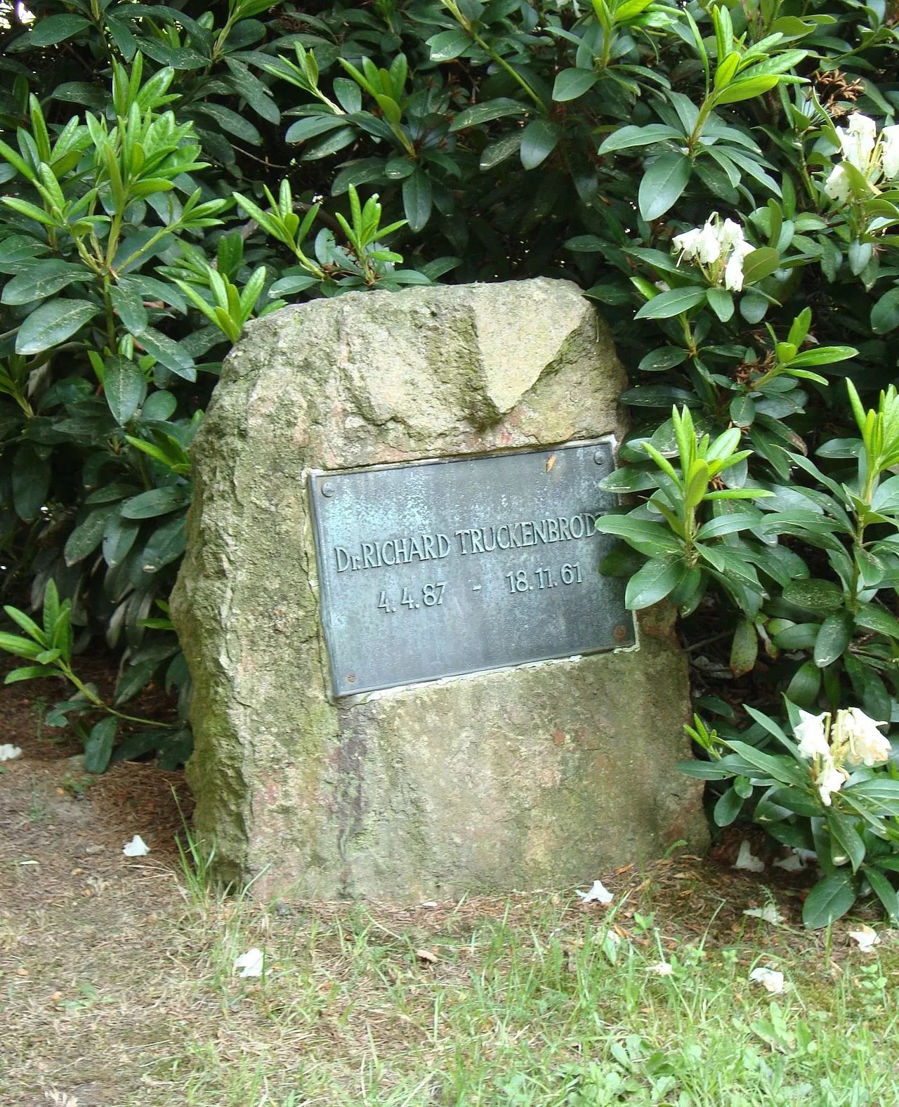 Porträt von Richard Truckenbrodt (1887–1961) – Gedenkseite