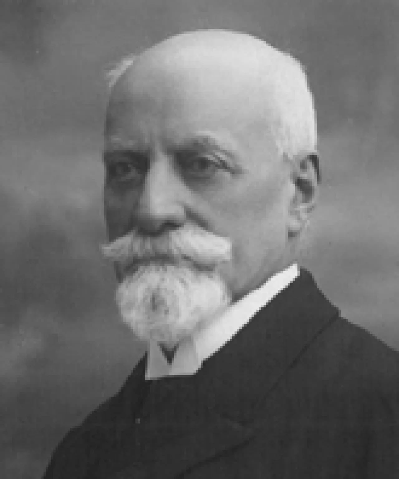 Portrait of Adeodato Bonasi (1838–1920) – memorial page