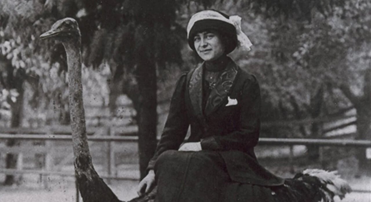Porträt von Ruby Sophia Rich (1888–1988) – Gedenkseite
