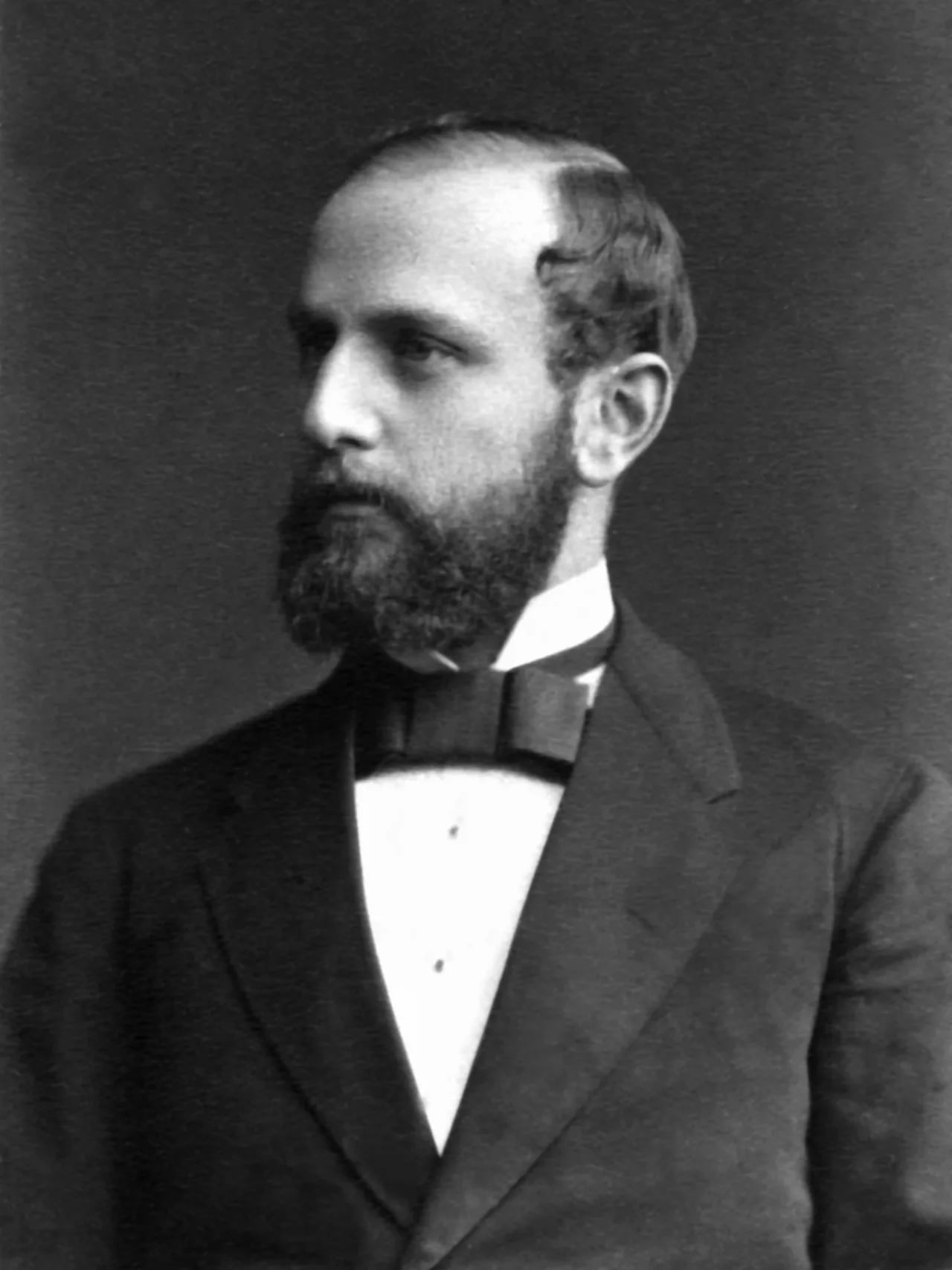 Porträt von Robert Schmidt (1850–1928) – Gedenkseite