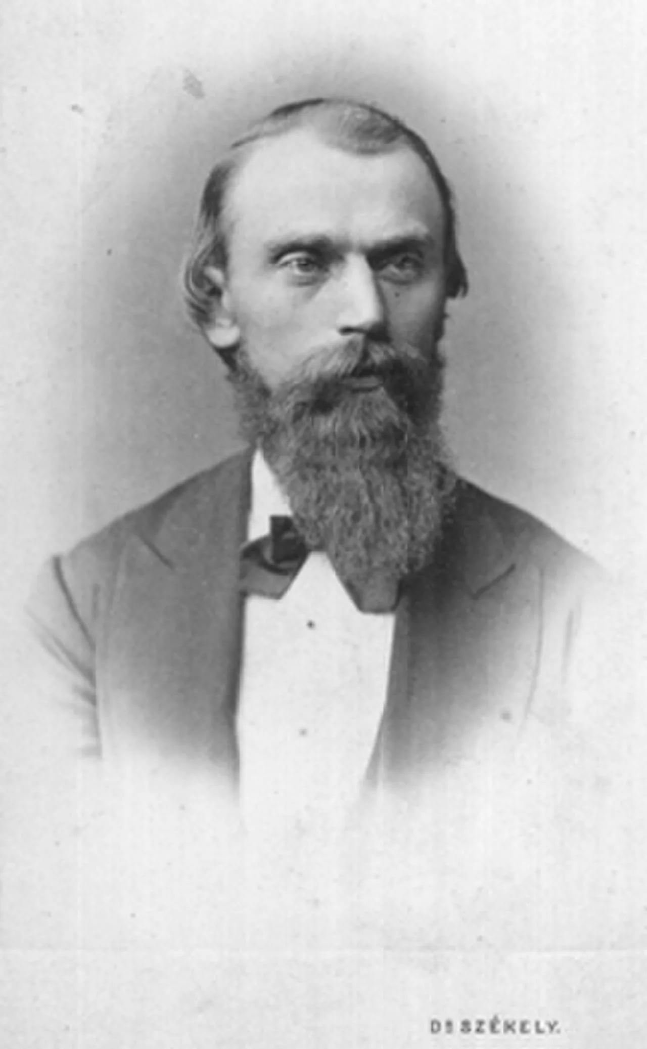Porträt von Gustavus Detlef Hinrichs (1836–1923) – Gedenkseite