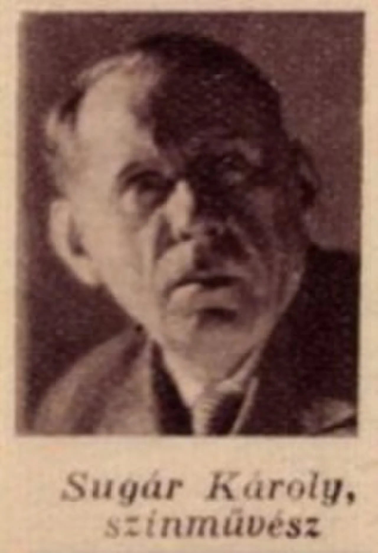 Portrait of Károly Sugar (1882–1936) – memorial page