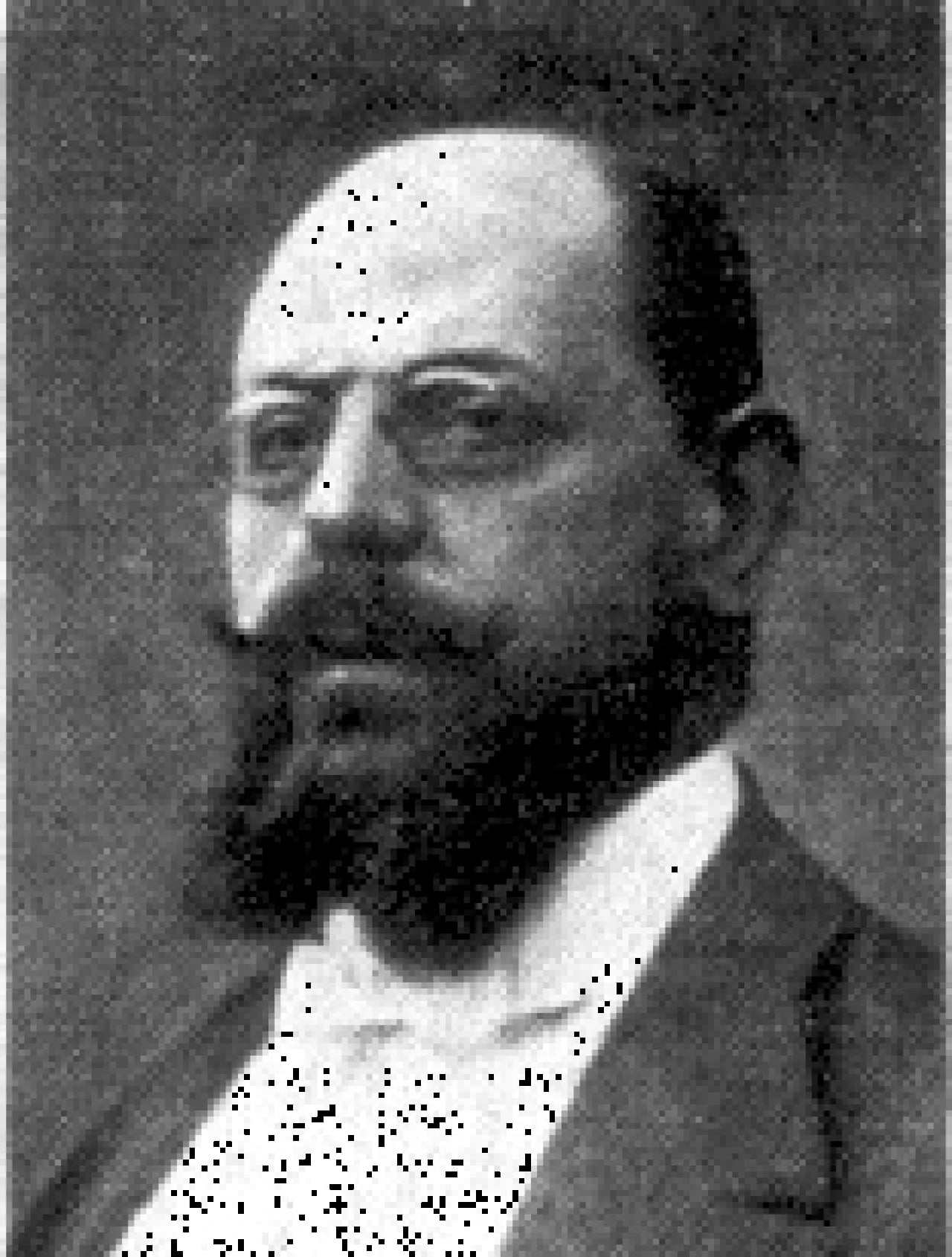 Portrait of Vincenzo Camerini (1856–1938) – memorial page