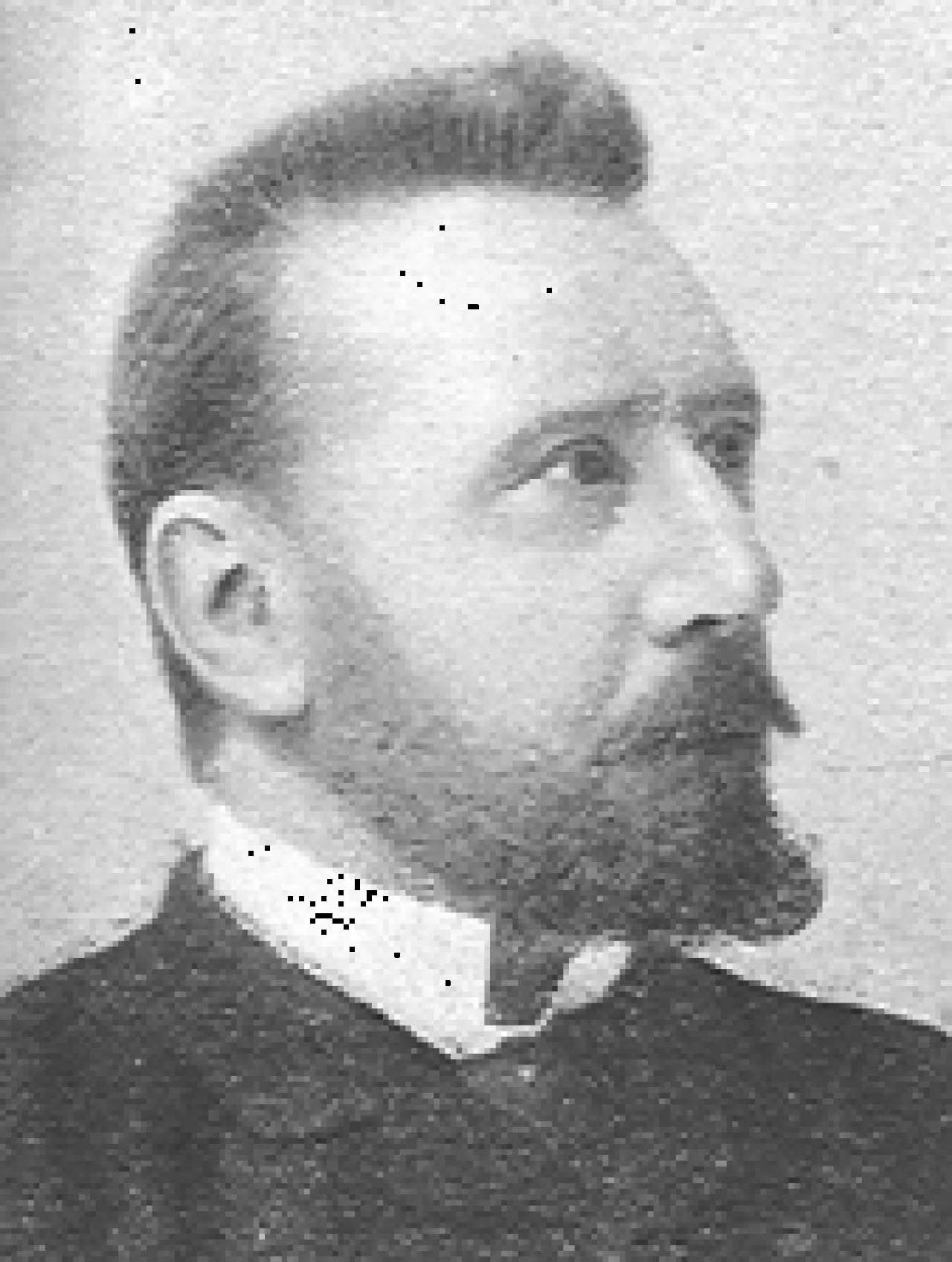 Porträt von Luigi Contarini (1841–1908) – Gedenkseite
