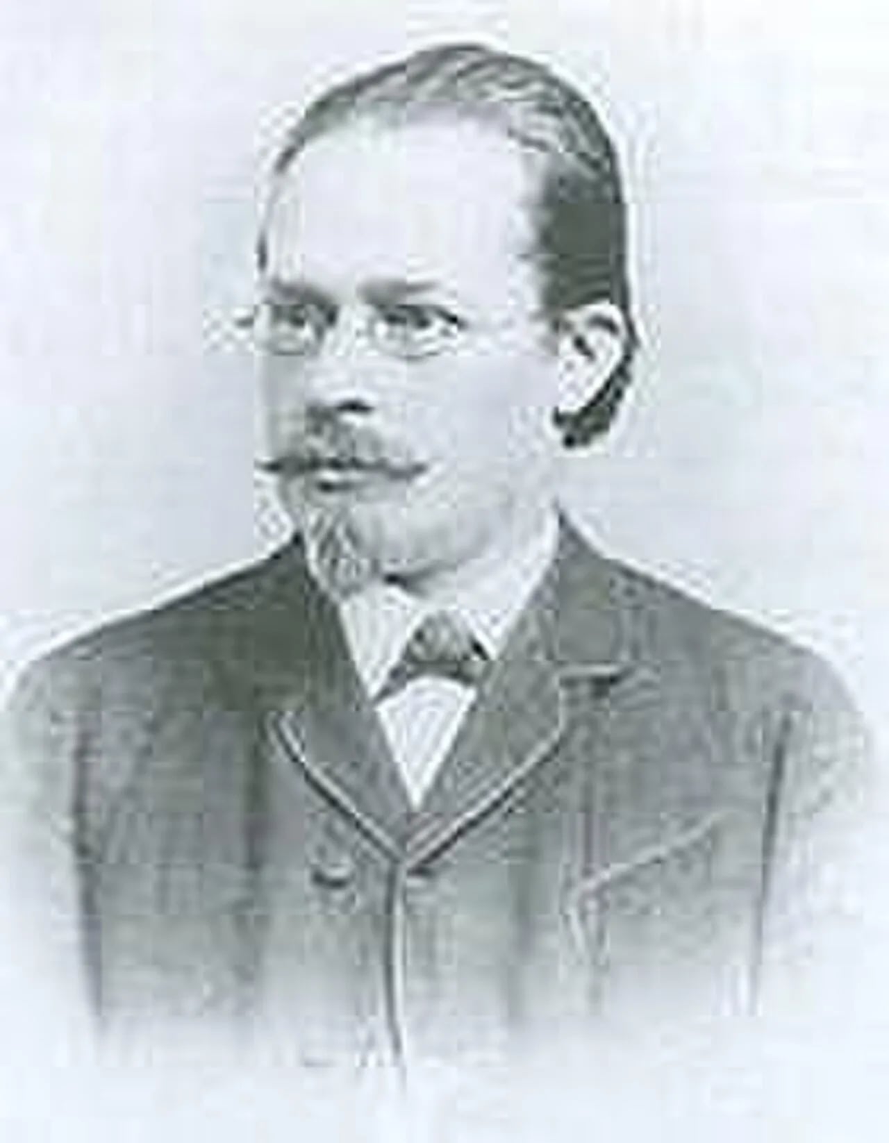Porträt von Ferdinand Lippich (1838–1913) – Gedenkseite