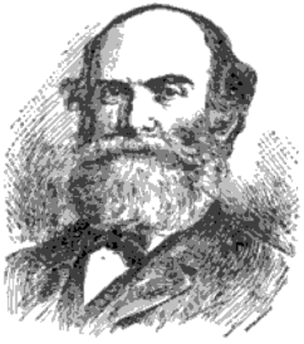 Porträt von Henry Augustus Loop (1831–1895) – Gedenkseite