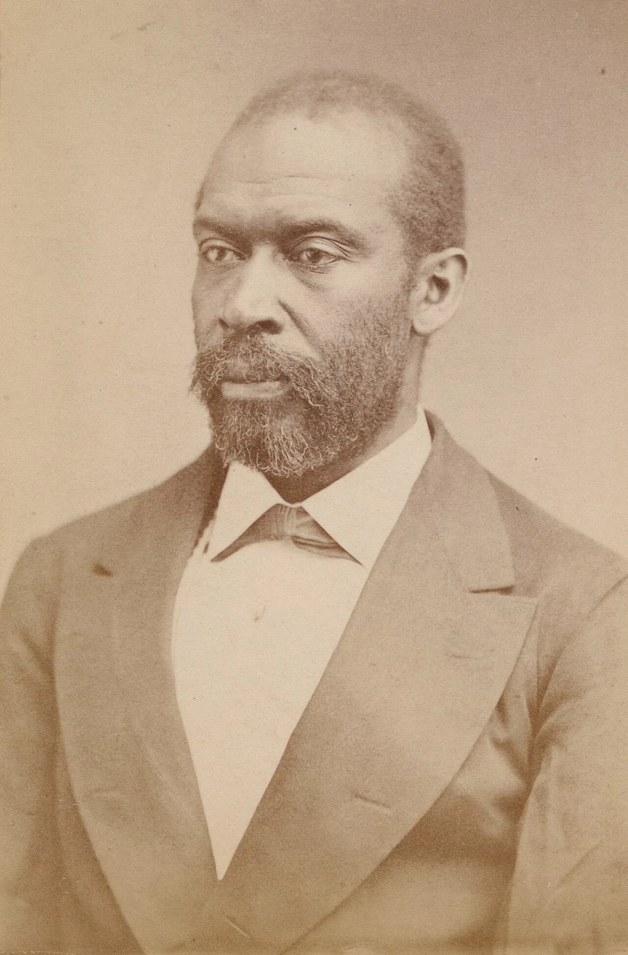 Porträt von Thomas Morris Chester (1834–1892) – Gedenkseite