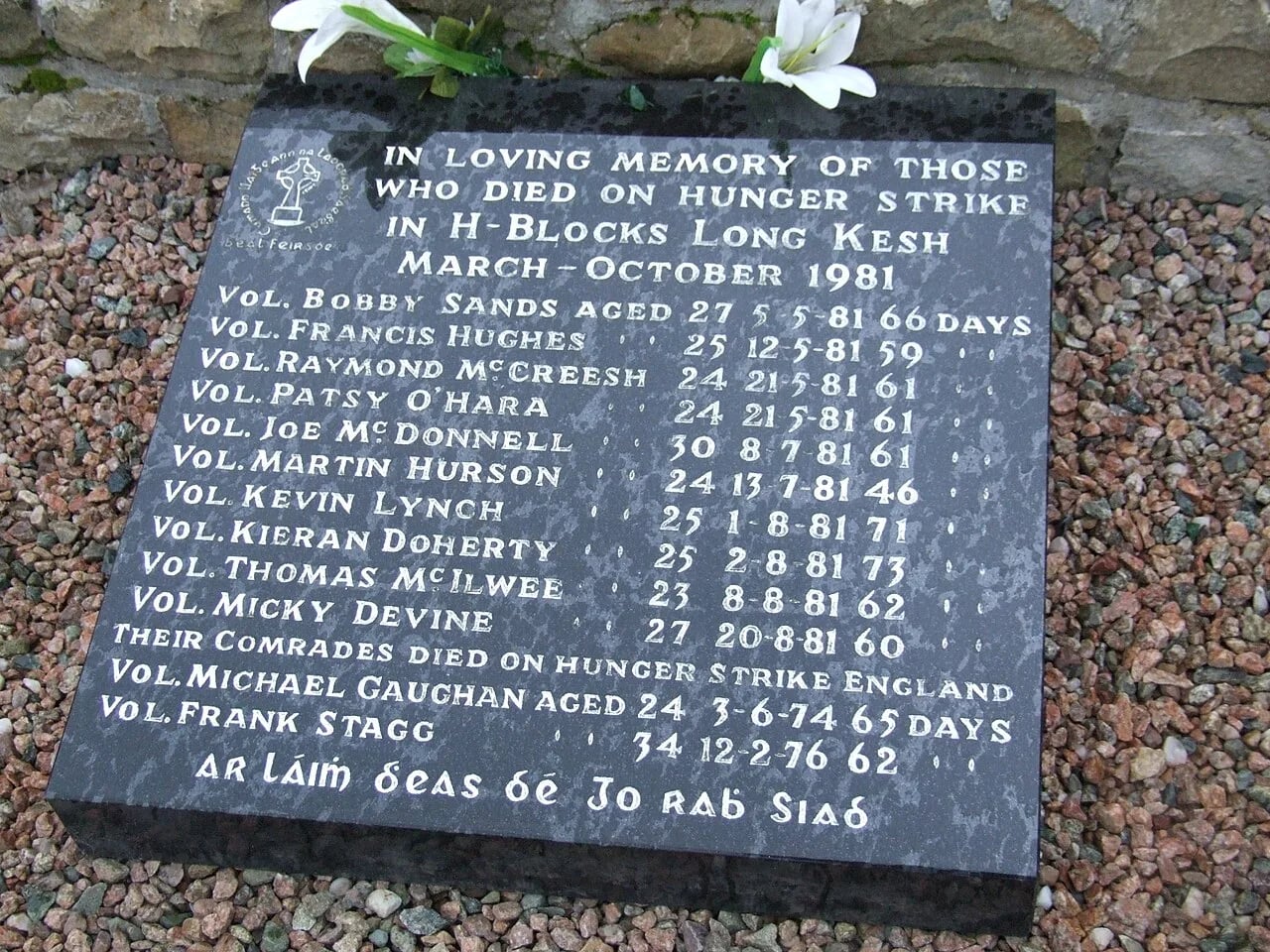 Portrait of Tom McElwee (1957–1981) – memorial page