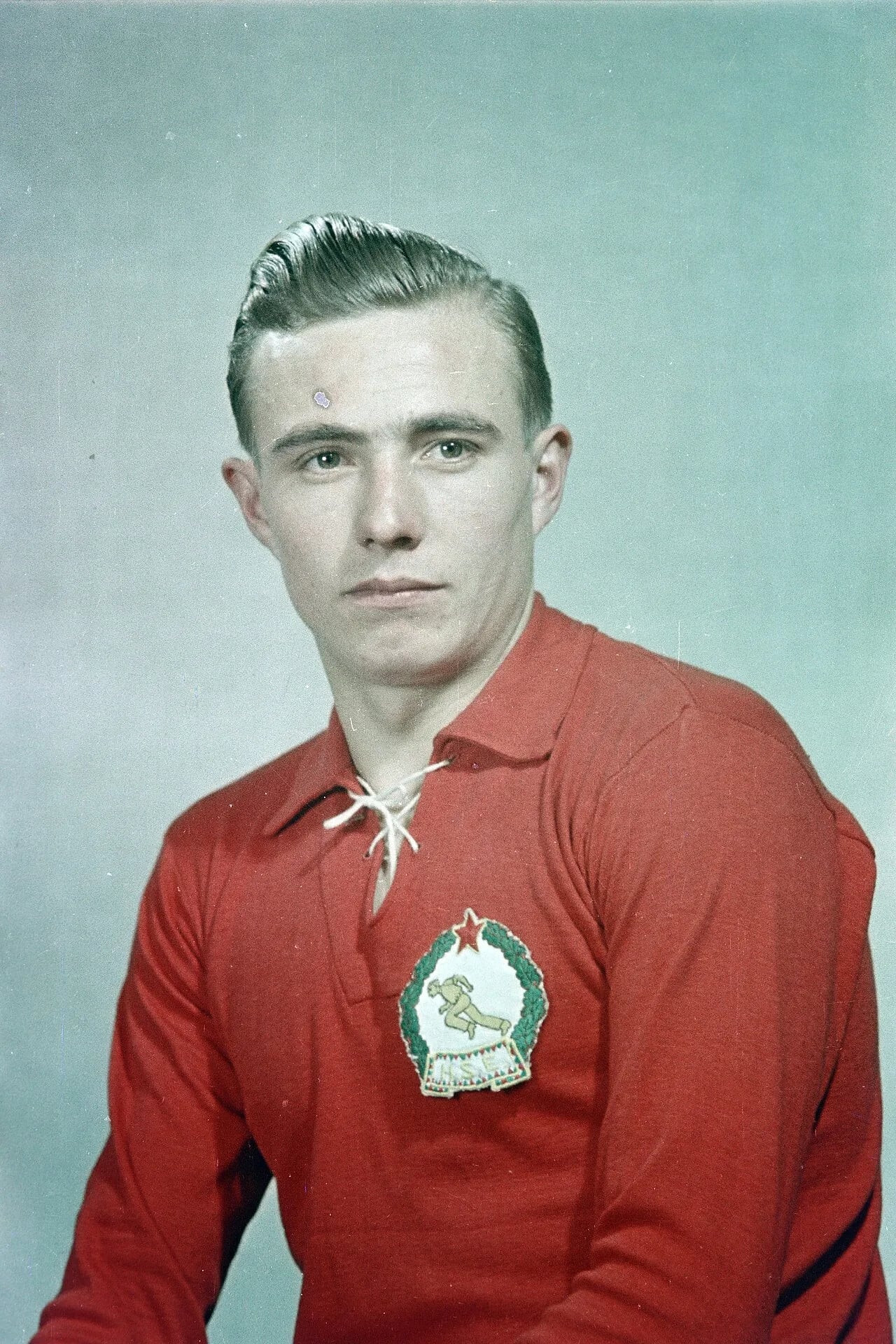 Porträt von József Csóka (1936–2019) – Gedenkseite