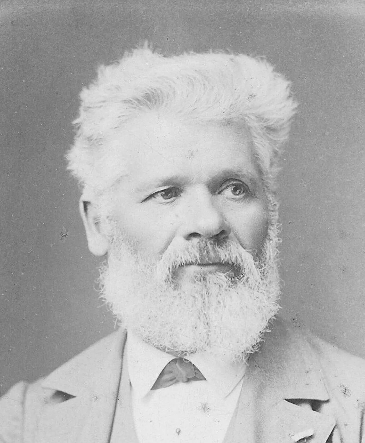 Portrait of Louis Cosme Demaille (1837–1906) – memorial page