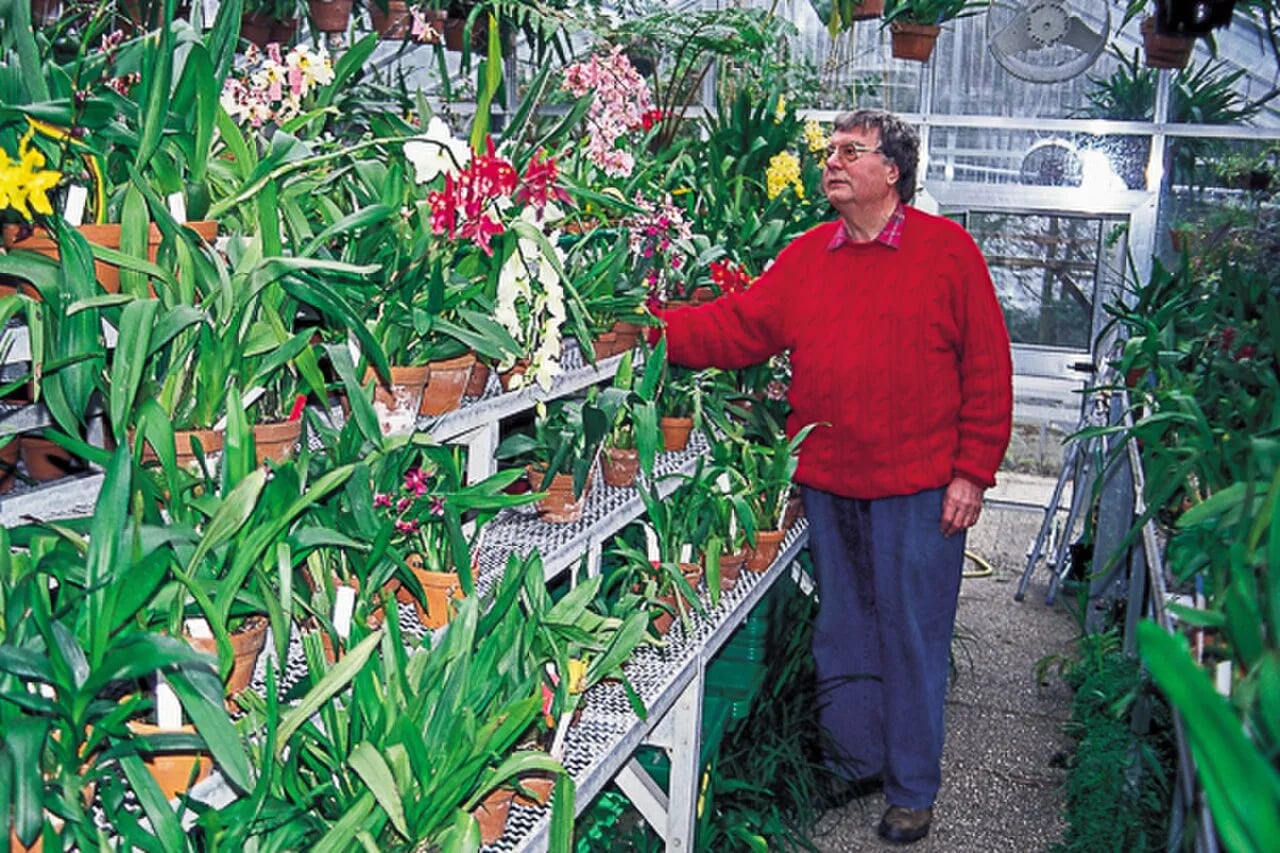 Porträt von Kuno Krieger (1930–2005) – Gedenkseite