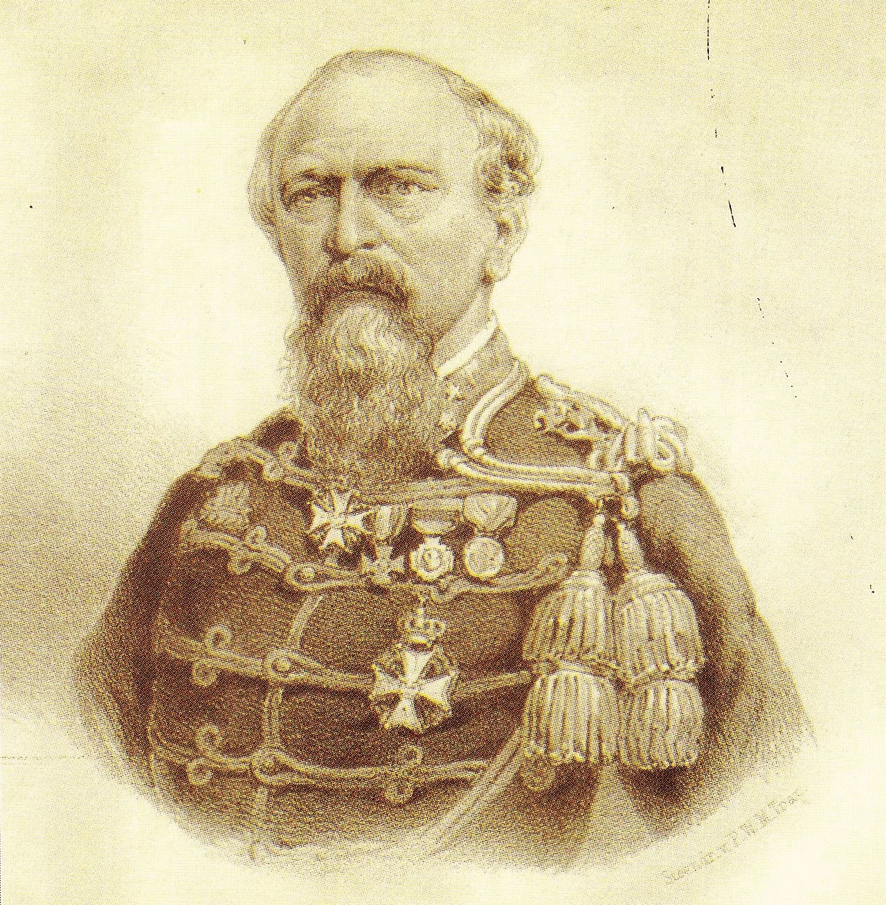 Portrait of Johannes Ludovicius Jakobus Hubertus Pel (1823–1876) – memorial page