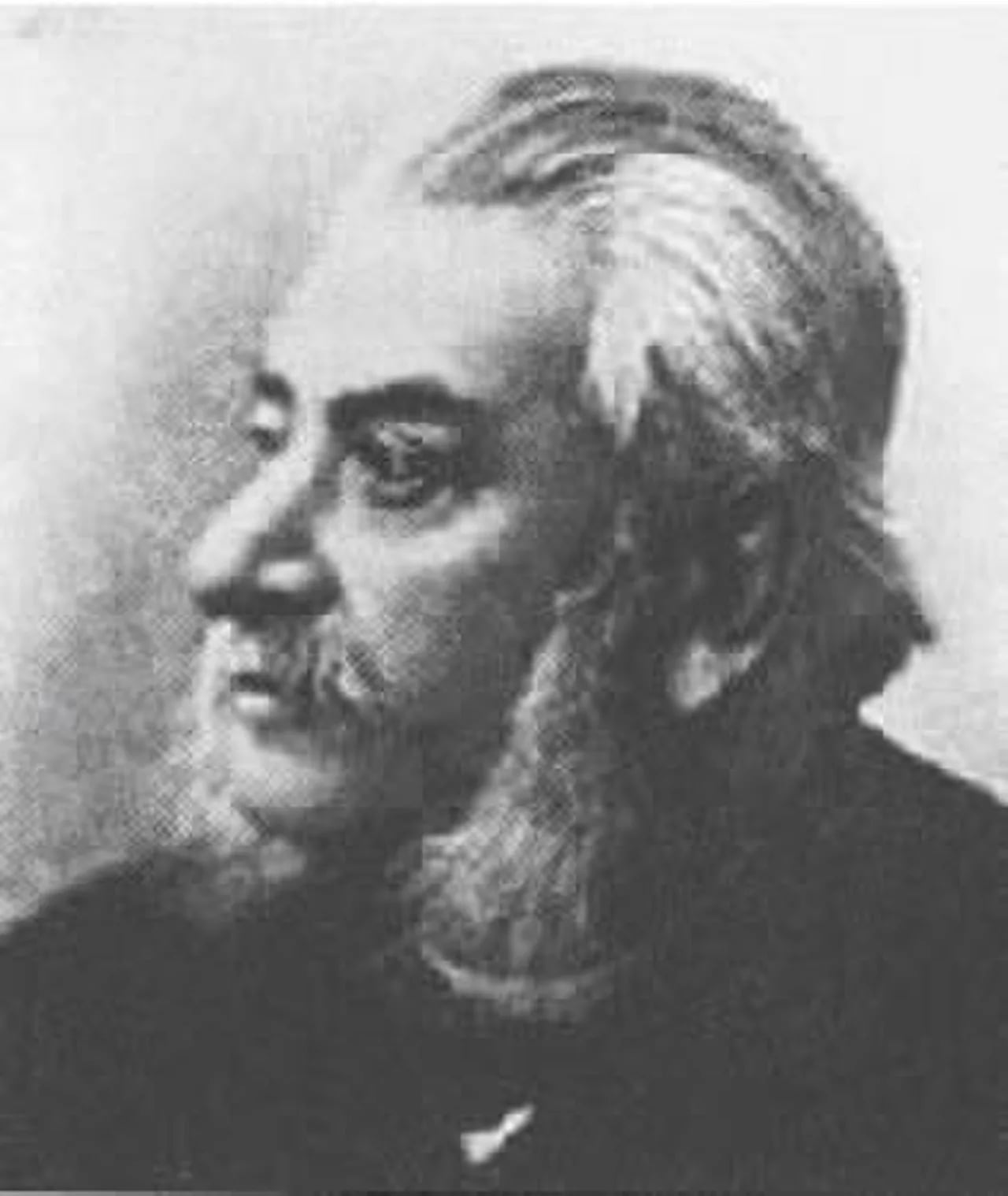 Portrait of Michele Coppino (1822–1901) – memorial page