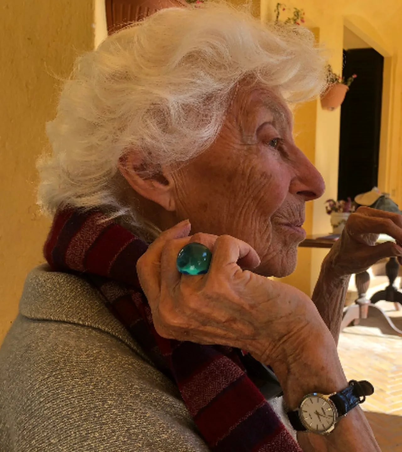 Porträt von Maria Sole Agnelli (1925–2025) – Gedenkseite