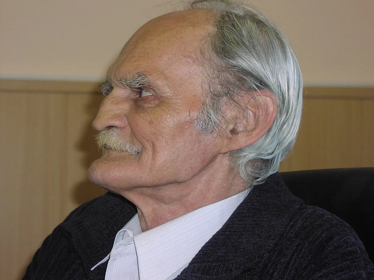 Portrait of Vadim Mogilnitsky (1935–2012) – memorial page