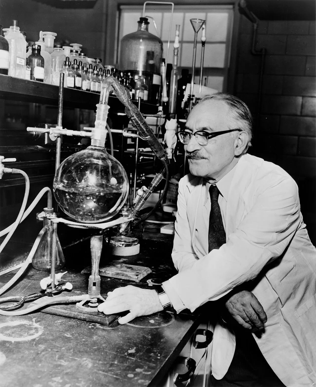 Portrait of Selman Abraham Waksman (1888–1973) – memorial page