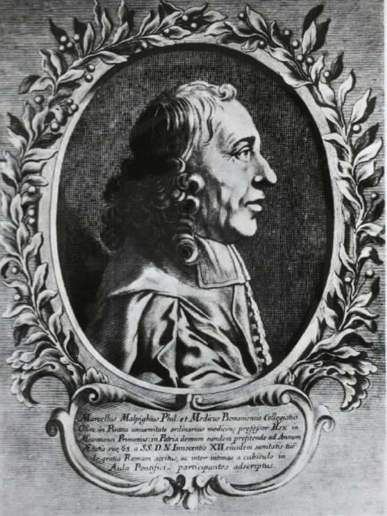 Portrait of Marcello Malpighi (1628–1694) – memorial page
