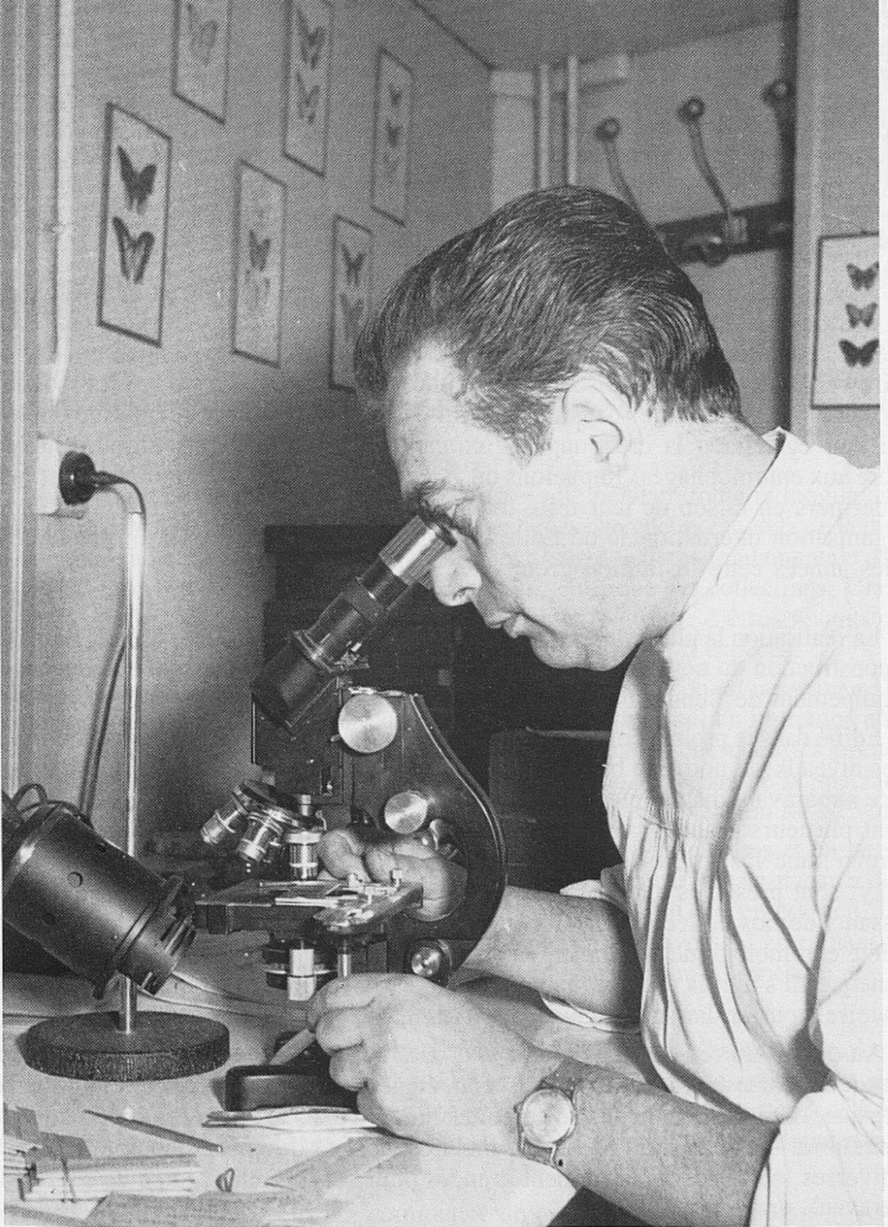 Portrait of Alfred Balachowsky (1901–1983) – memorial page