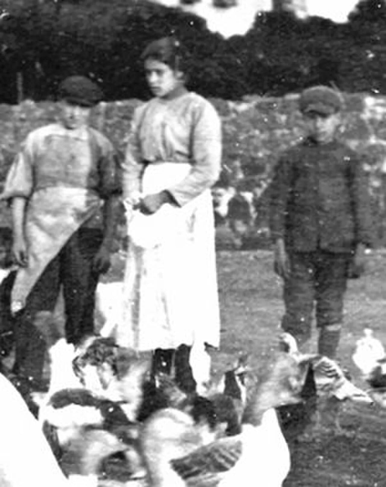 Porträt von Maria Goretti (1890–1902) – Gedenkseite