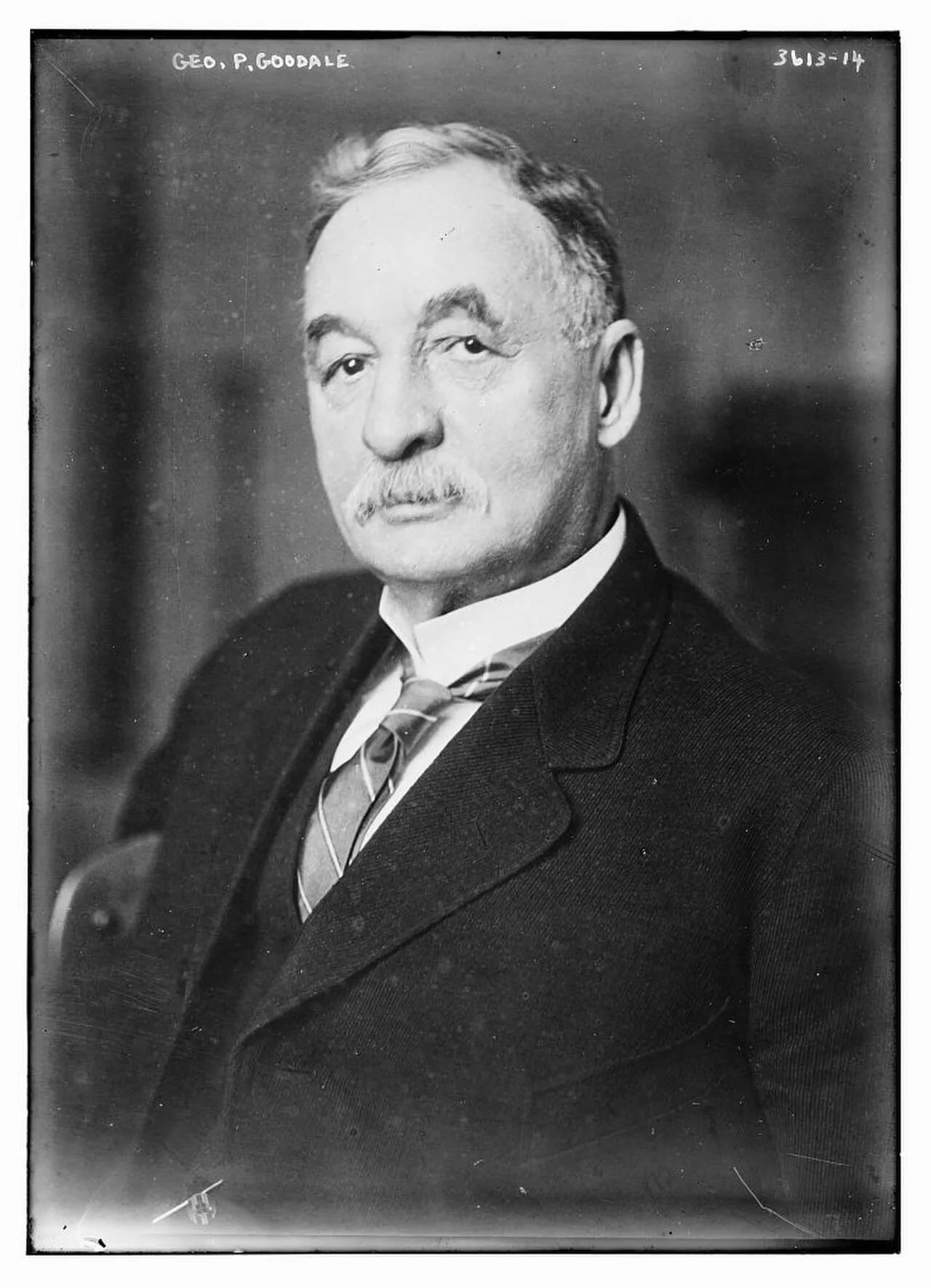 Porträt von George Pomeroy Goodale (1843–1919) – Gedenkseite