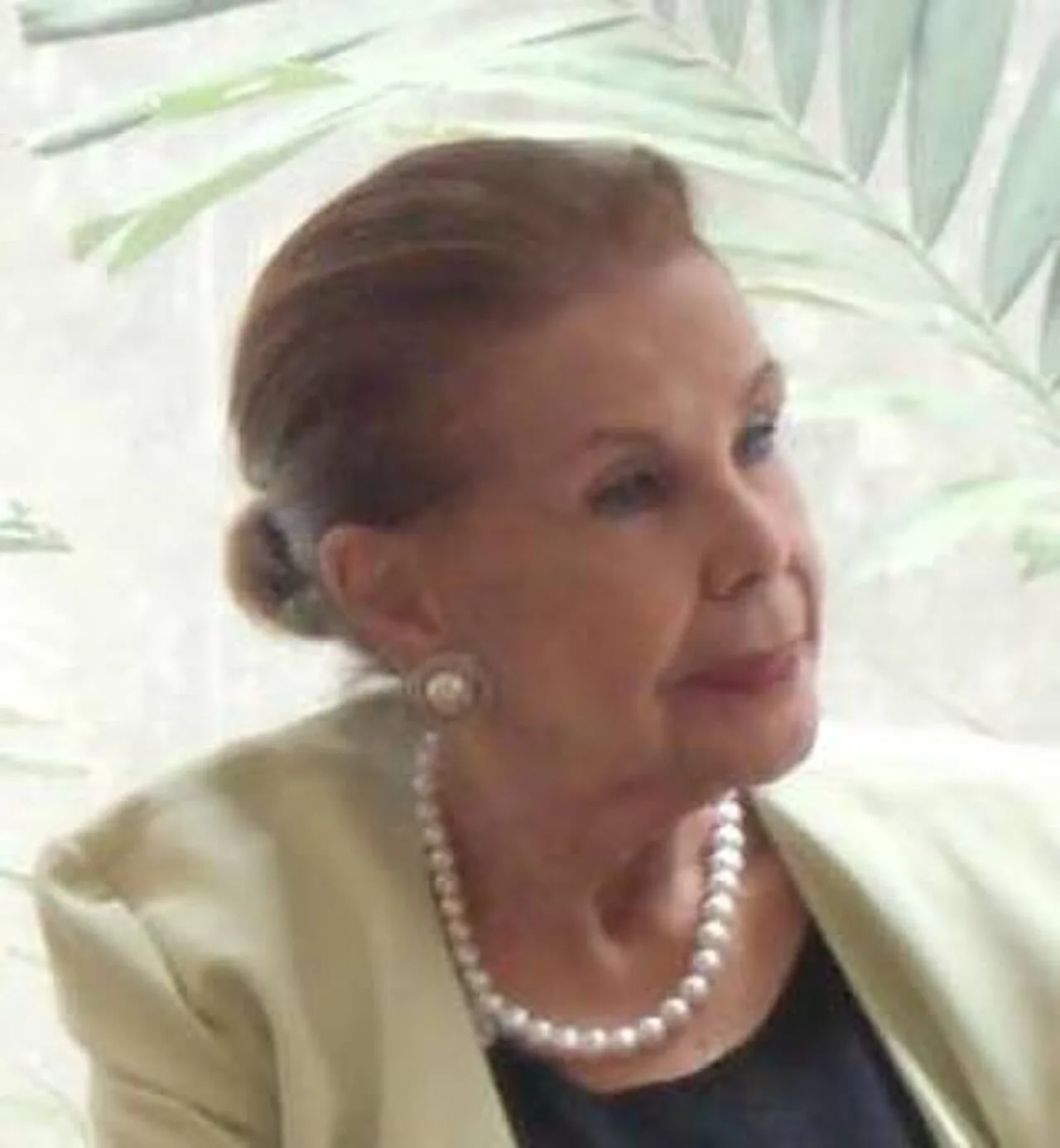 Portrait of Evangelina García Prince (1934–2019) – memorial page