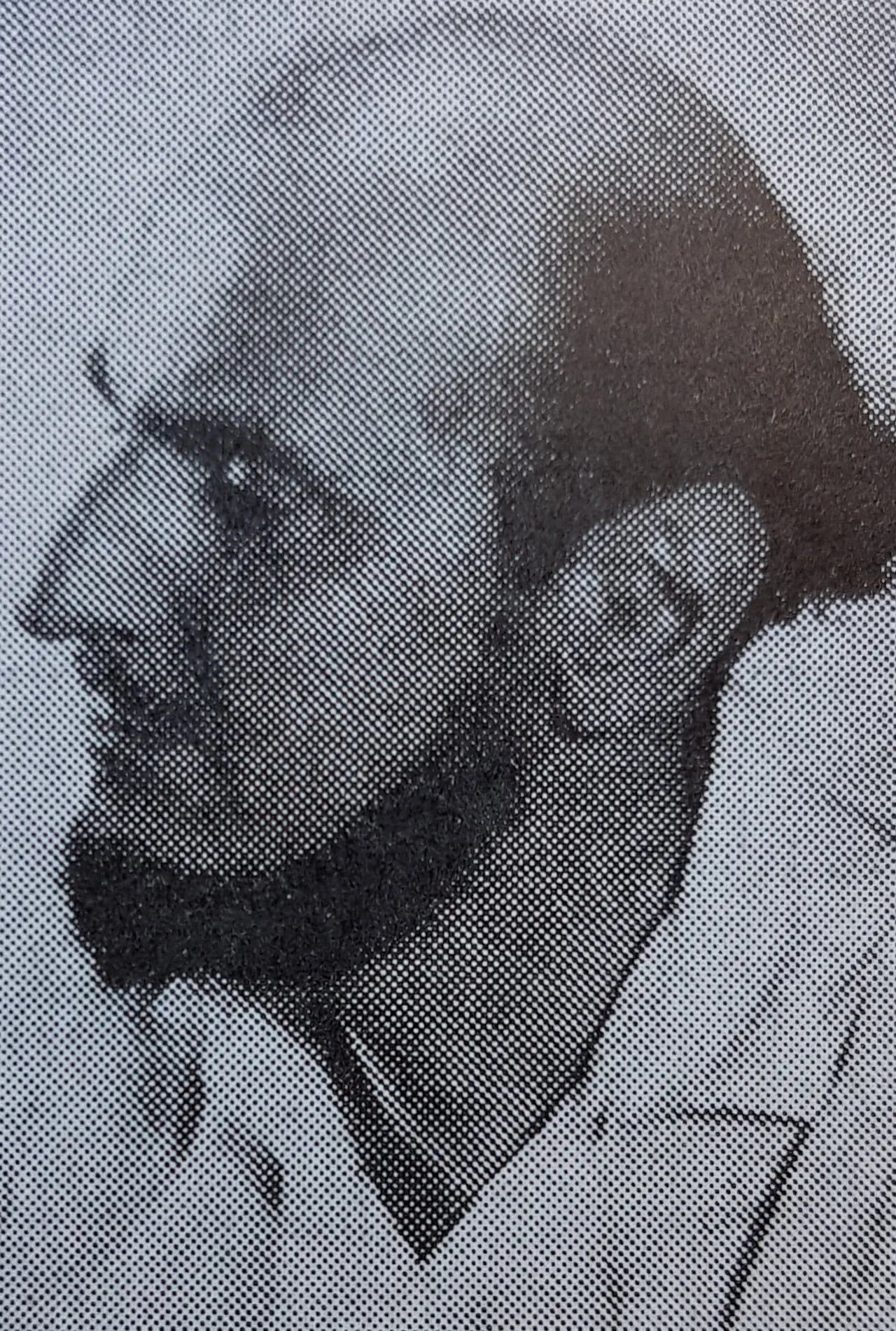 Portrait of Stig Wirde (1914–1962) – memorial page