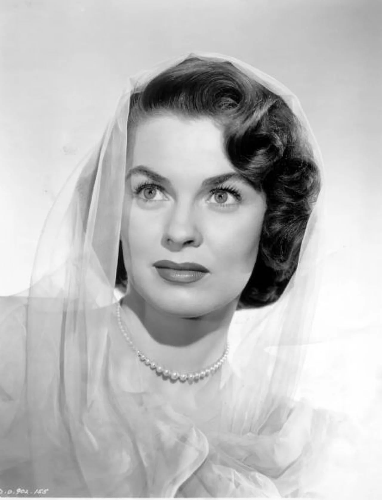 Porträt von Joanne Dru (1922–1996) – Gedenkseite