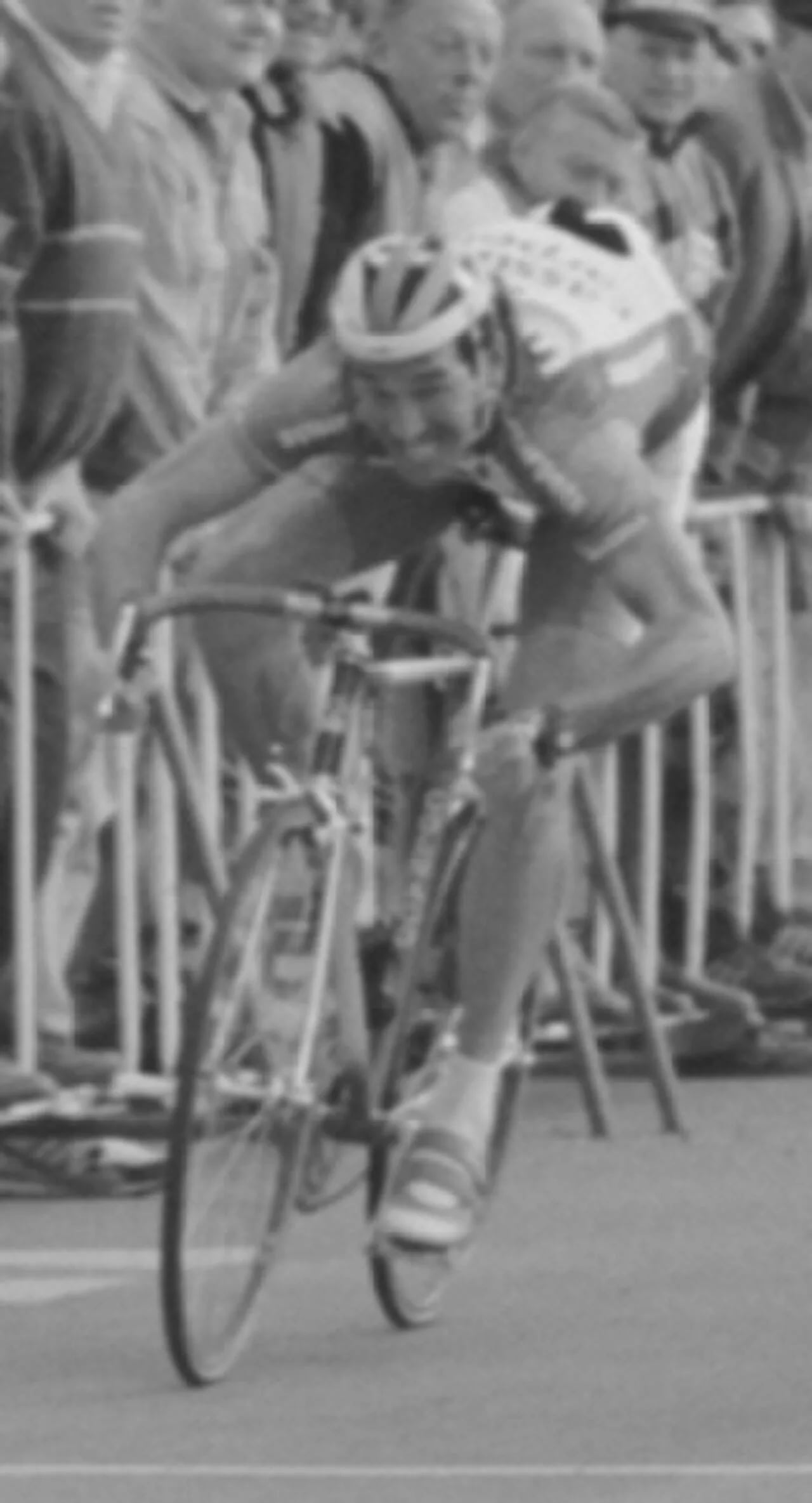 Porträt von Jan Bogaert (1957–2024) – Gedenkseite
