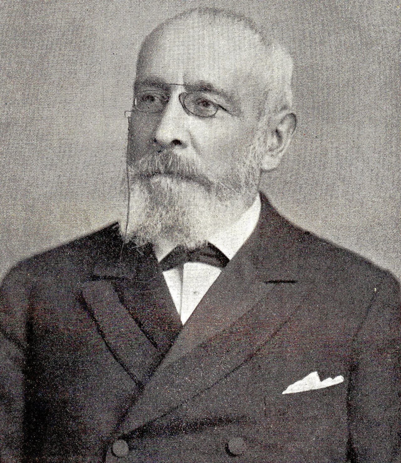 Portrait of Willem van Goltstein van Oldenaller (1831–1901) – memorial page