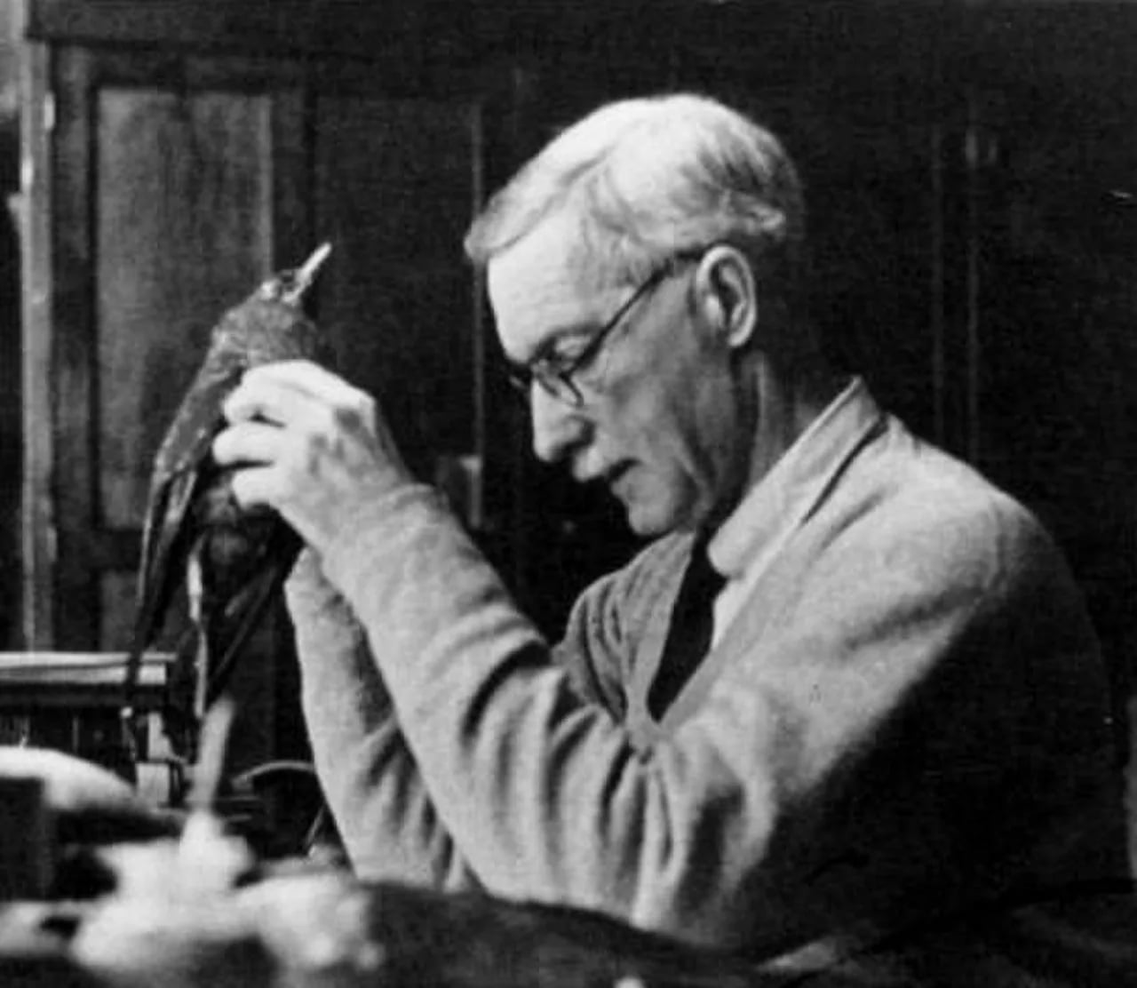 Portrait of Richard Meinertzhagen (1878–1967) – memorial page