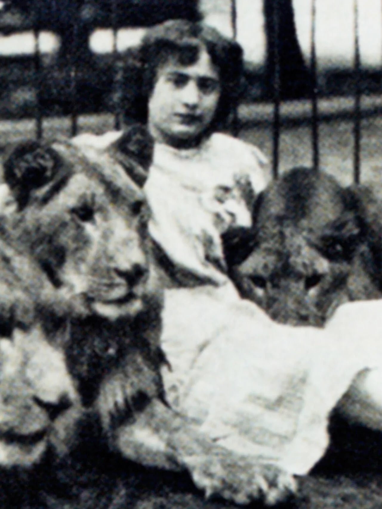 Porträt von Tilly Bébé (1879–1932) – Gedenkseite
